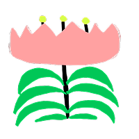 Bloom