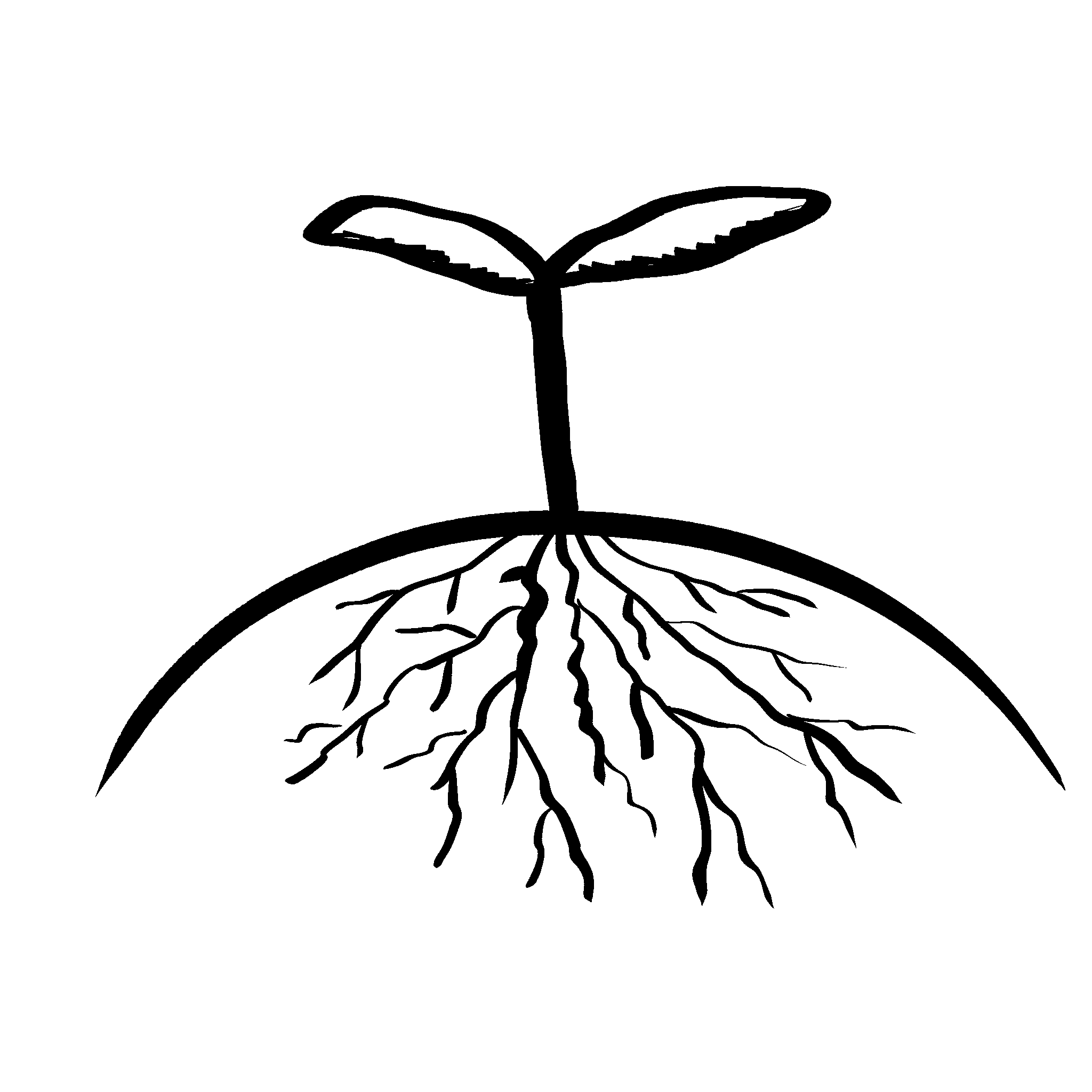 Growth Systems